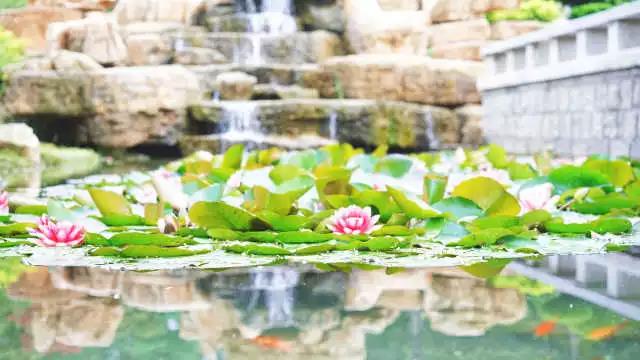 高清曝光！坐拥神仙颜值，山东最美“校花”就在这所大学里！