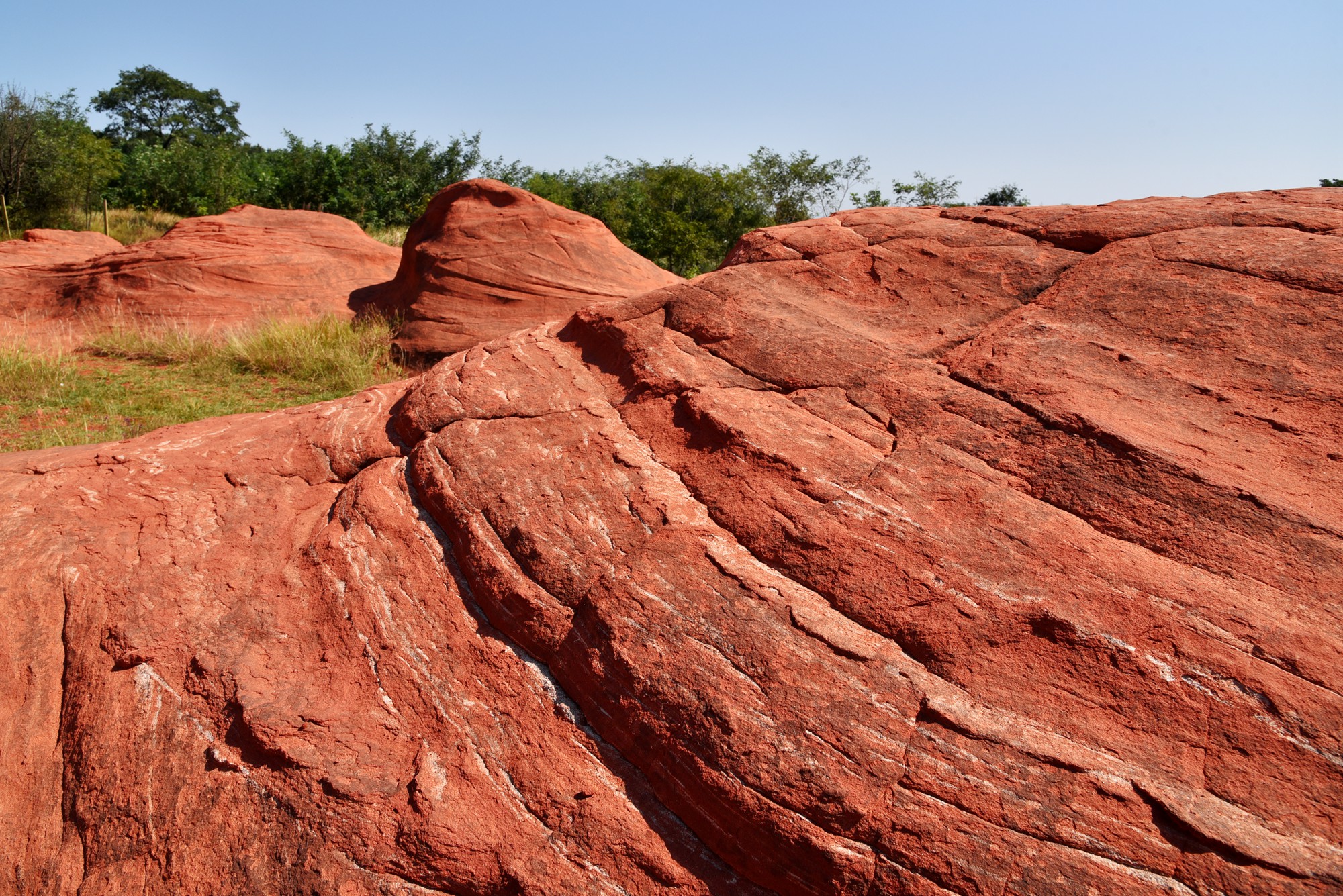 只见山坡上的岩石呈现出火红的色彩