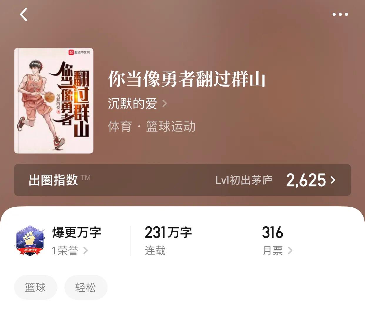 几本篮坛小说，在故事中我们看不到逝去，看到的是重新的辉煌