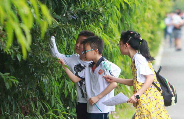 盘点南京市各区民办中小学学费，普遍价格高昂，一年多达10万