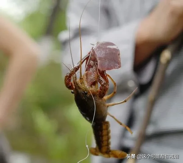 心如荷花天地宽，人生一笑岁月长；医海无涯必励钻，博采勤收受益