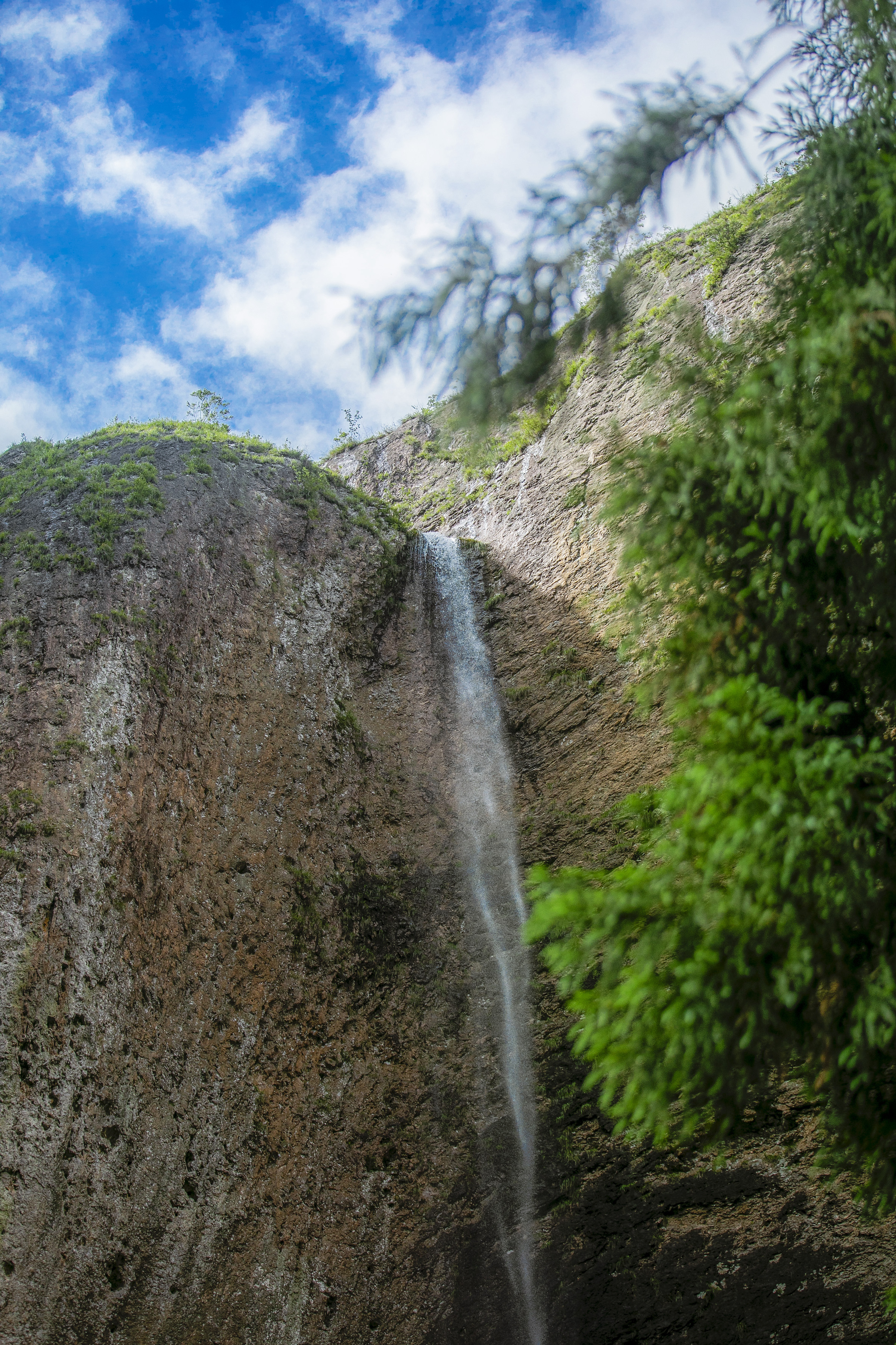 雁荡山旅游(雁荡山旅游学校)