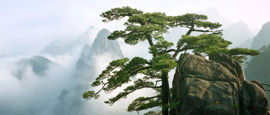 成人不易,莫失美好