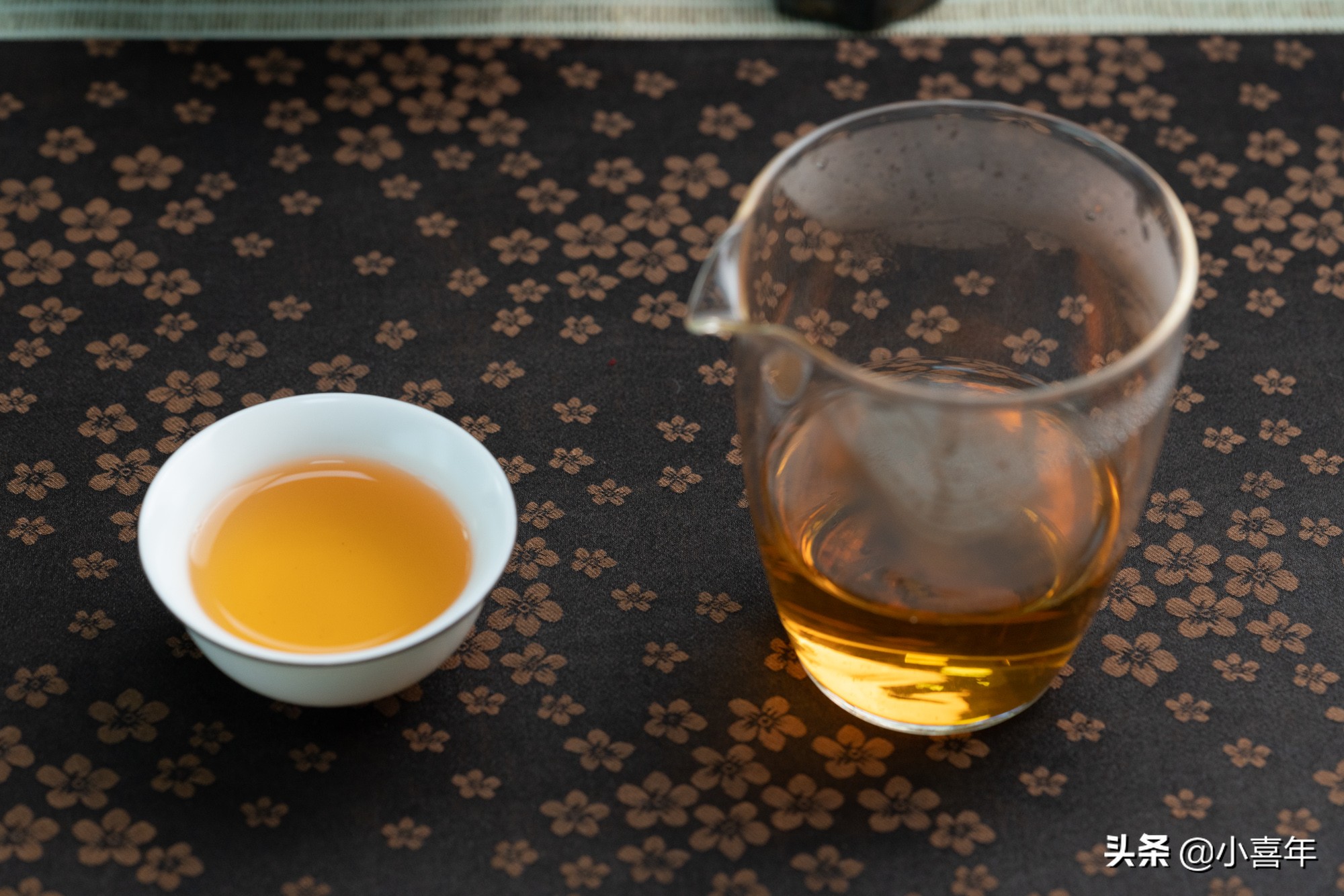 麻黑古树茶的特点（一文详解麻黑古树茶的特色）