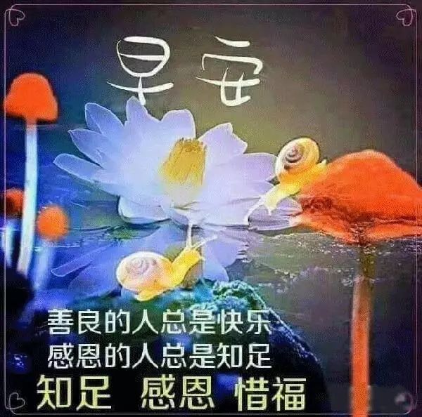 清晨太阳升起，明亮你的心情；传达一声问候，温暖你的心情，早安