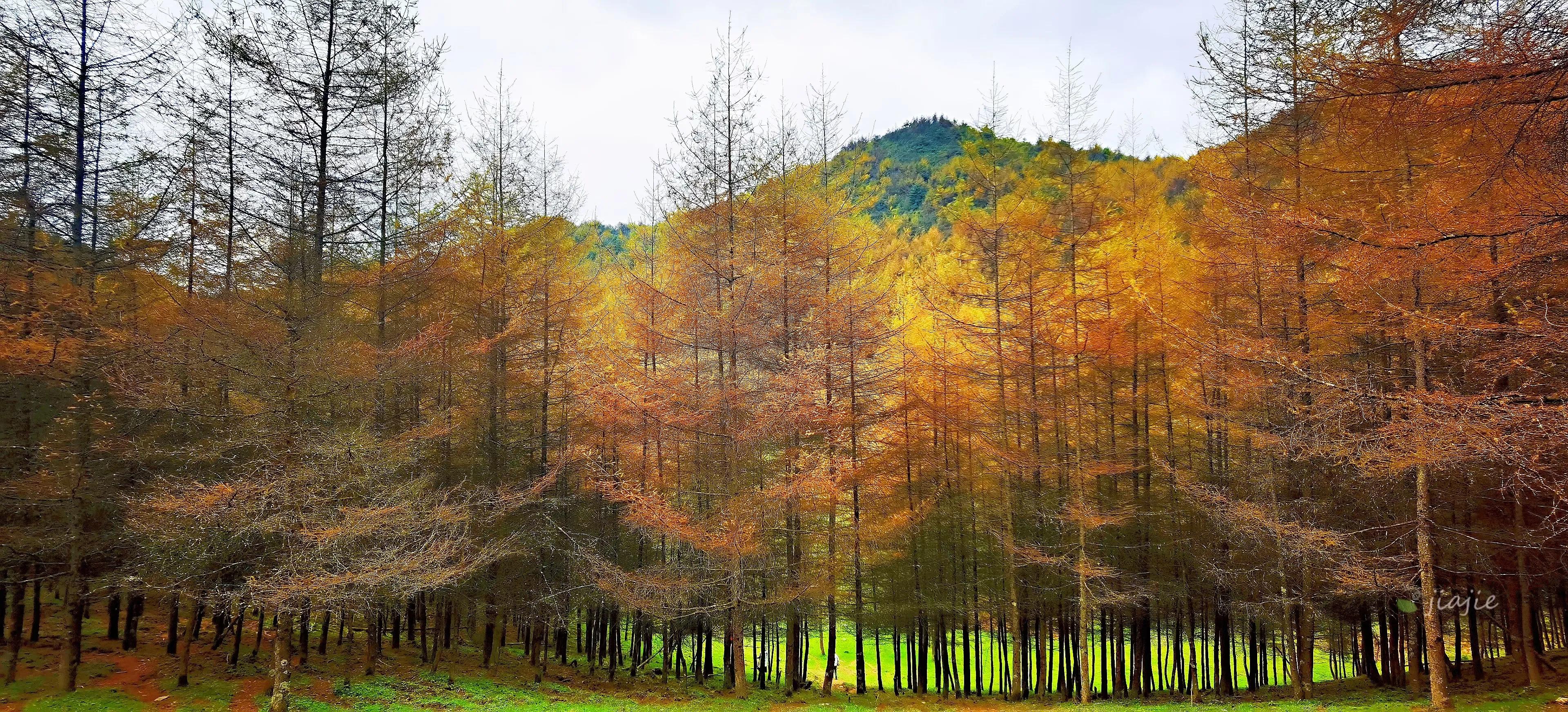 大山秋景图片图片