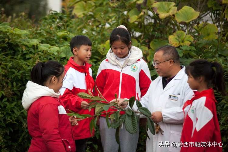 贵州黔西：传统中医药文化进校园