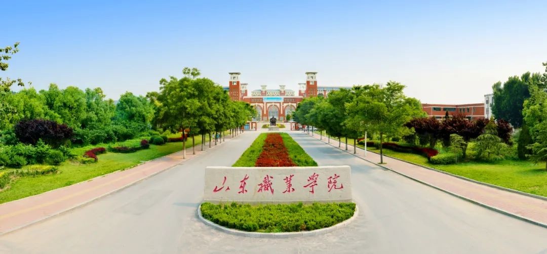 山东最满意的高职高专排行榜TOP10，淄博职业学院位居第二