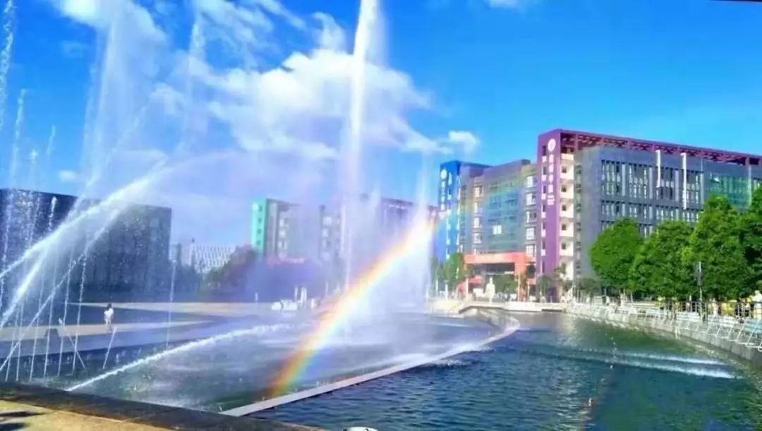 大学几大必考证