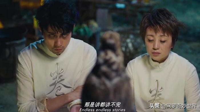 驯化鹰最残忍的方法：熬鹰！那熬鹰是什么呢？