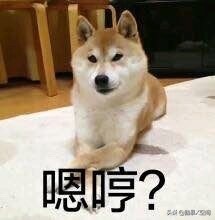 百草味：我太难了，营销比不过三只松鼠，品质比不过良品铺子