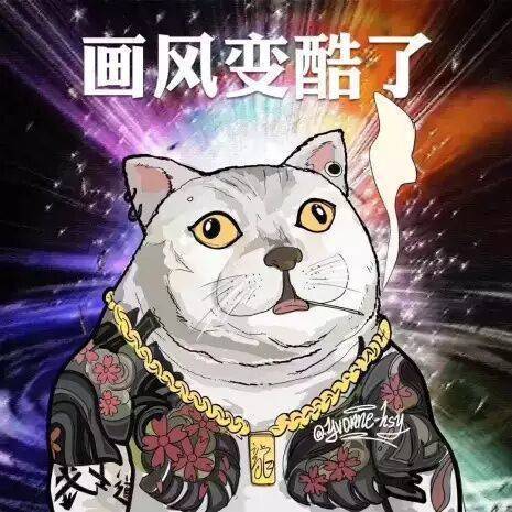 憨憨猫表情包合集｜奇怪的知识增加了