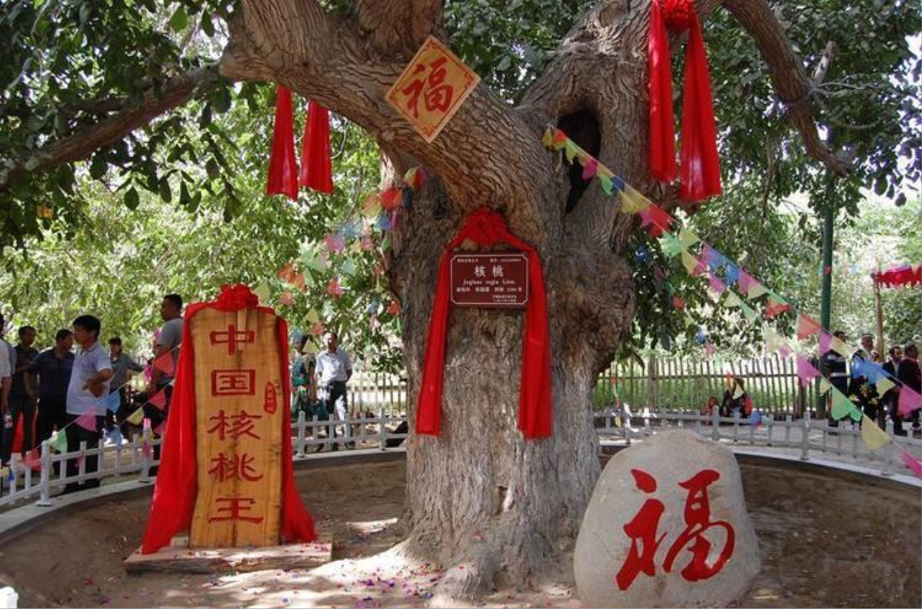 叶城县属于哪个市（新疆叶城县新藏线的起点）