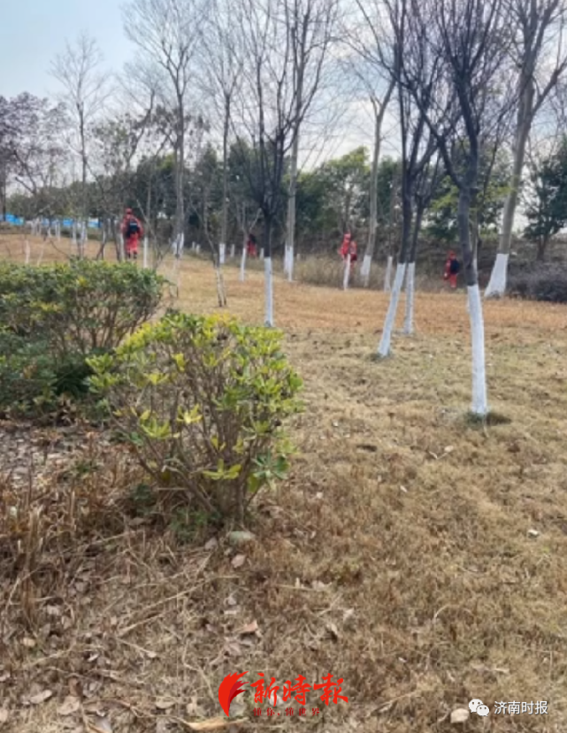 痛心！19岁女大学生学车后遇害，距练车处仅几百米