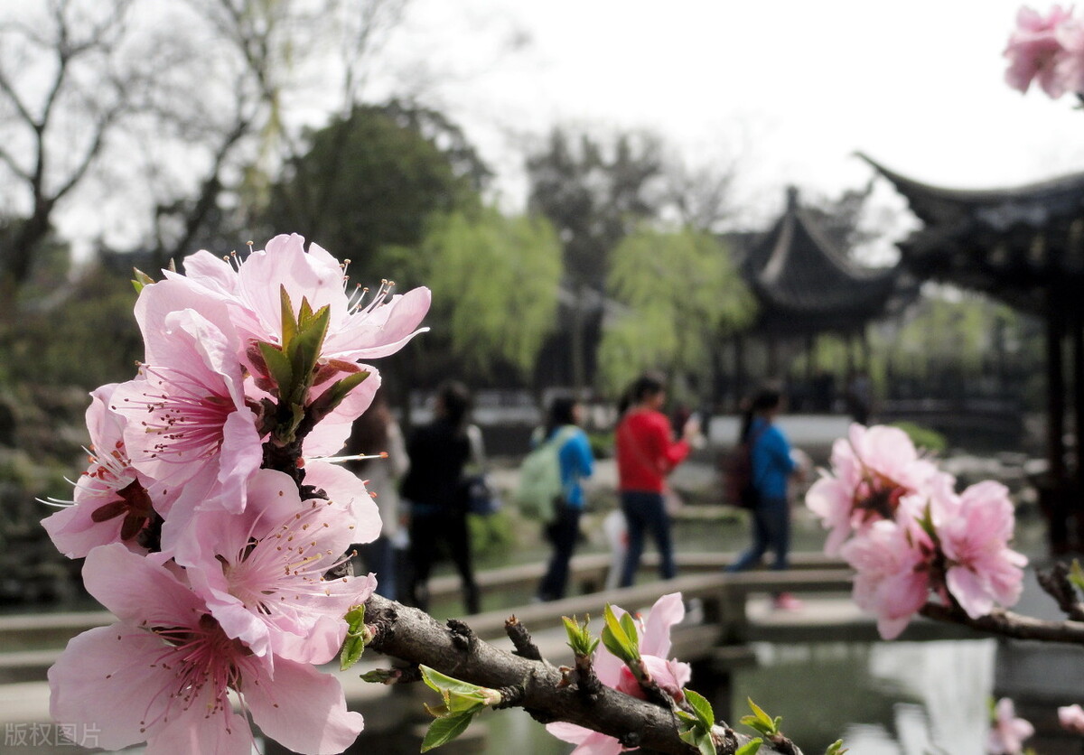 三月再见，四月你好：最美人间四月天，一切美好如你所愿