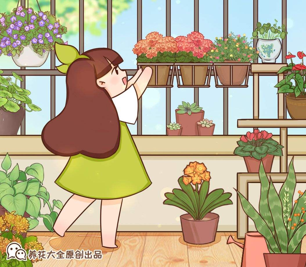 養(yǎng)花總是養(yǎng)不活，6個原因不能忽略，趕緊補救植物才越長越好