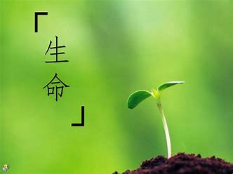 就富士康又有员工跳楼了！谈谈有啥比生命珍贵的？