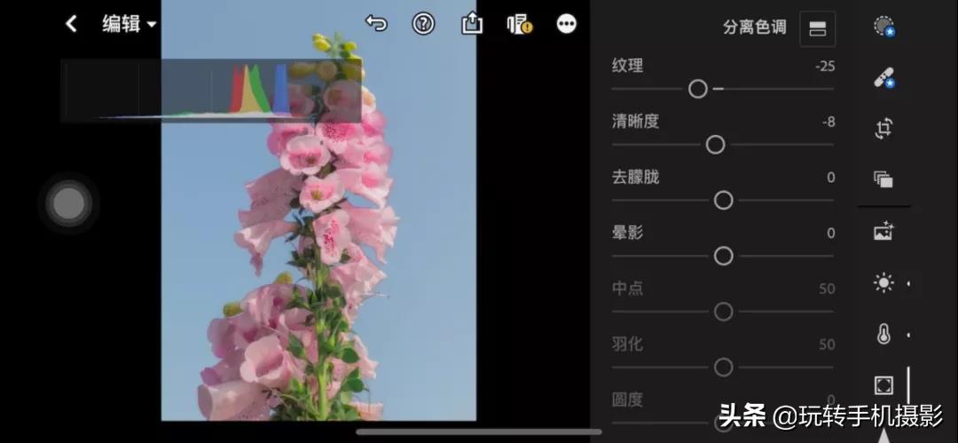 拍花后期！调色用对了，就很有春天的感觉