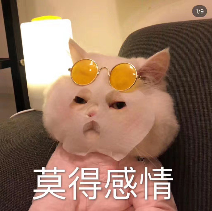 猫咪表情包合集｜老子可爱吗？