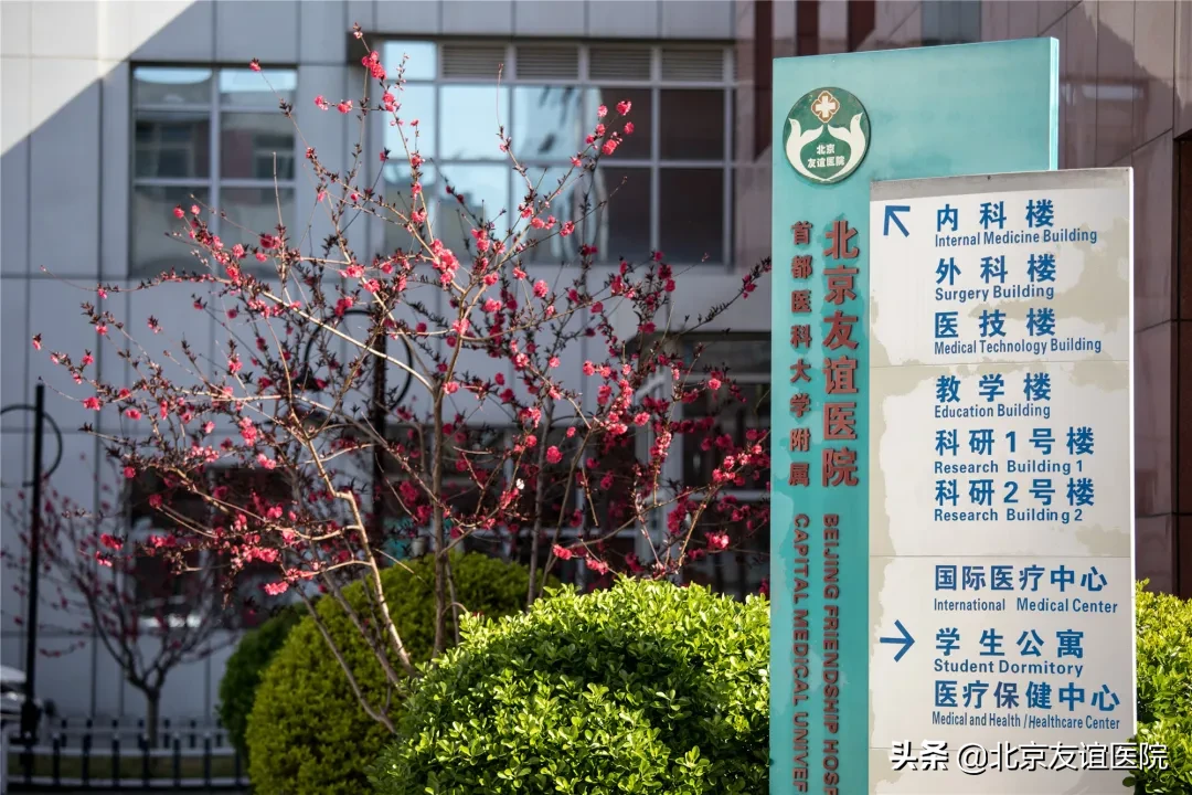 首都医科大学附属北京友谊医院 博士后研究人员招聘启事