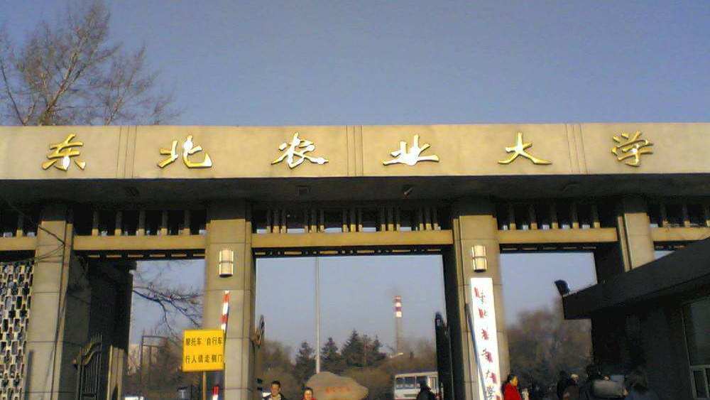 黑龙江22所大学排名：哈尔滨工业大学第一，毕业生四成入职500强