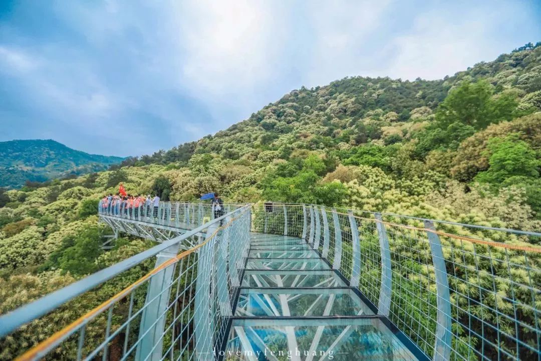 带你泡暖冬药浴,探秘森林玻璃栈道