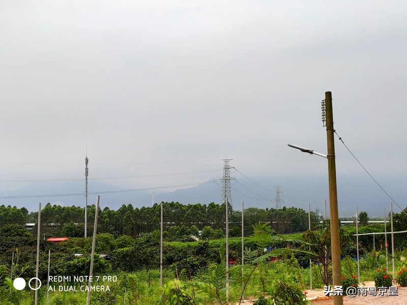 清远北江河边有个小渔村~白庙，还有个娃娃鱼养殖基地雪鲵庄园