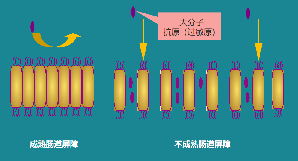 小婴儿排稀便，有粘液，还含奶瓣？不一定是牛奶蛋白过敏