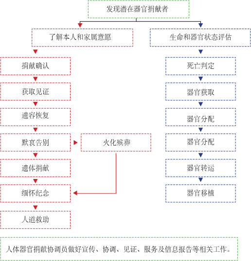 如何捐献遗体,如何捐献遗体器官