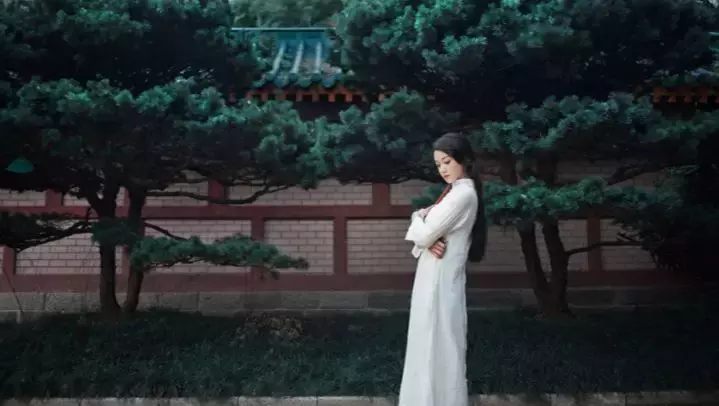 我不傻,只是不想计较