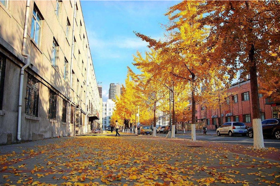 985高校“档次”排行榜，第一档“名副其实”，剩下的有争议