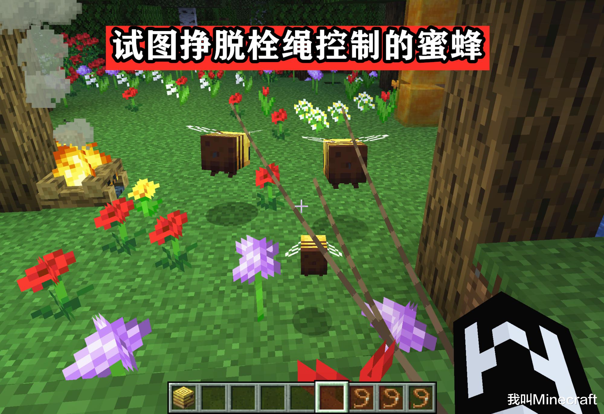 Minecraft蜜蜂养殖指南：关于蜜蜂，你可能不知道的13个冷知识