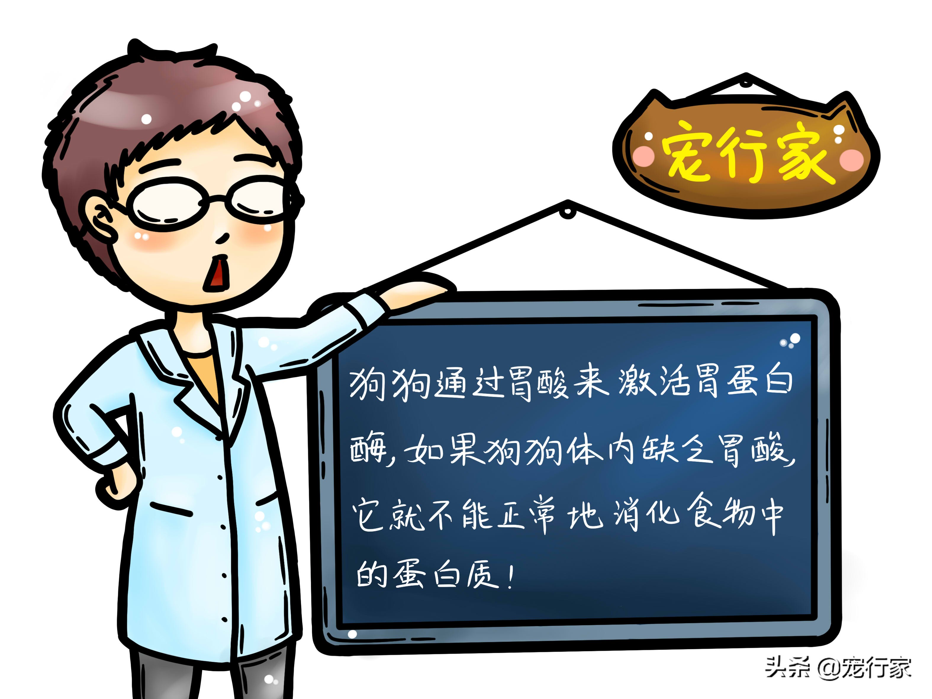 狗改不了吃屎？它可能也有苦衷！来看看这种现象背后的原因吧