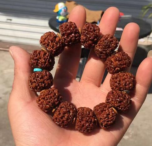 大金刚菩提的尺寸不好选吗?