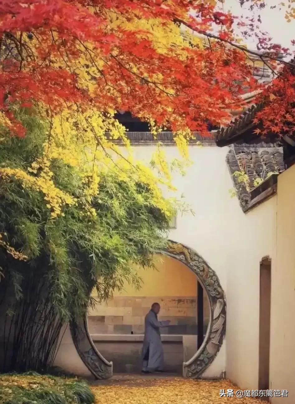 原创诗词 游虎丘有感（游虎丘小记）