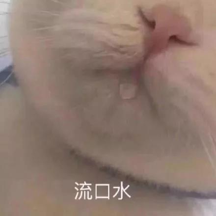表情包：流口水