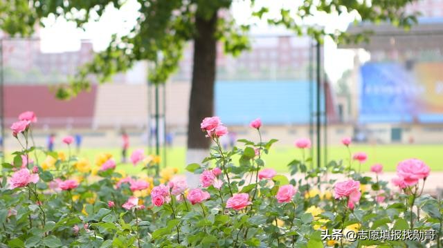 什么是提前批次,