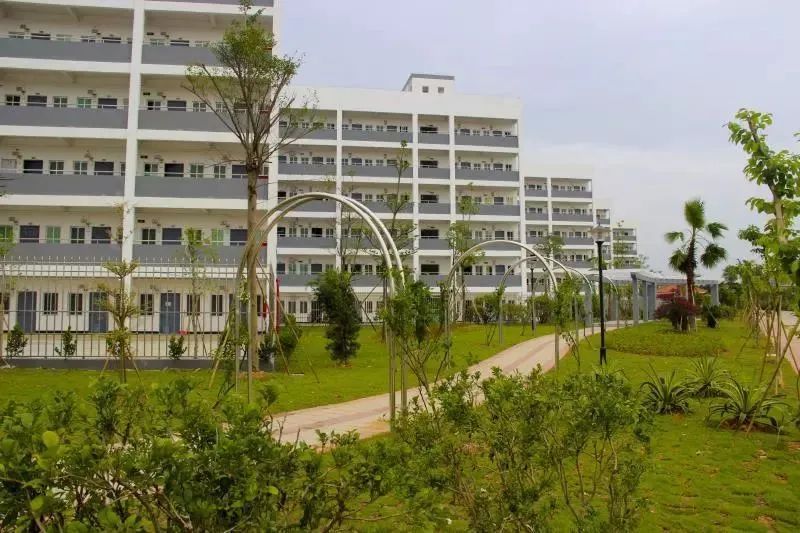 高职高考必看｜全面了解广州工商学院