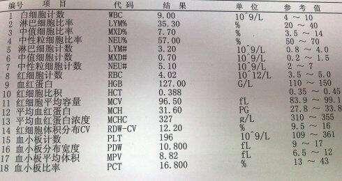 血常规看不懂？只需看这3个指标，其实很简单