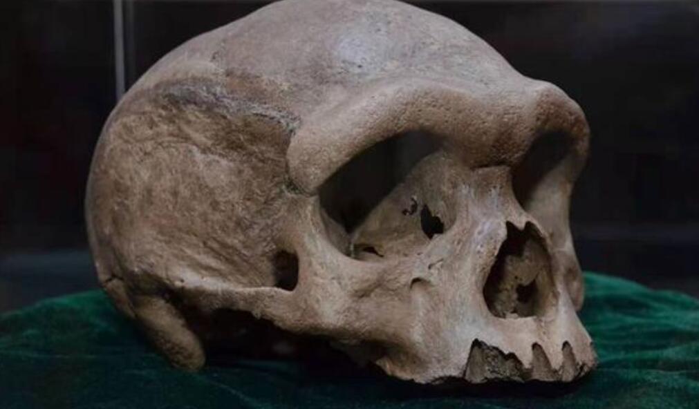 第1次听说，科学家发现新人种龙人，难道地球真存在龙这种生物？