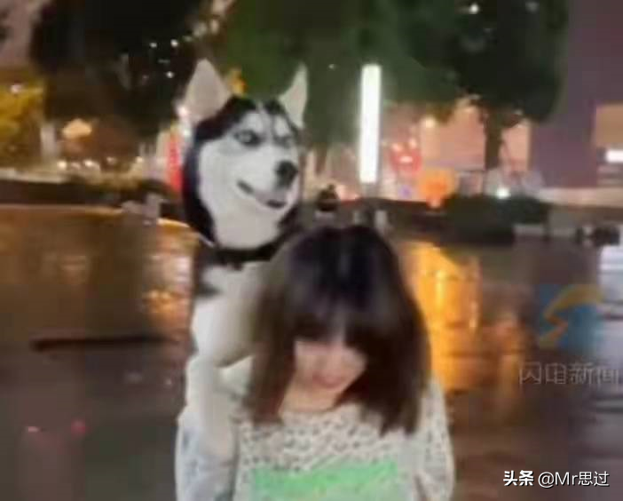 致爱狗人士：狗确实是人类的好朋友，但是希望你们可以理智爱狗