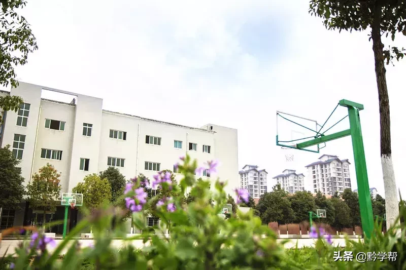 下定决心选择复读？戳进来，这里有助你的法宝