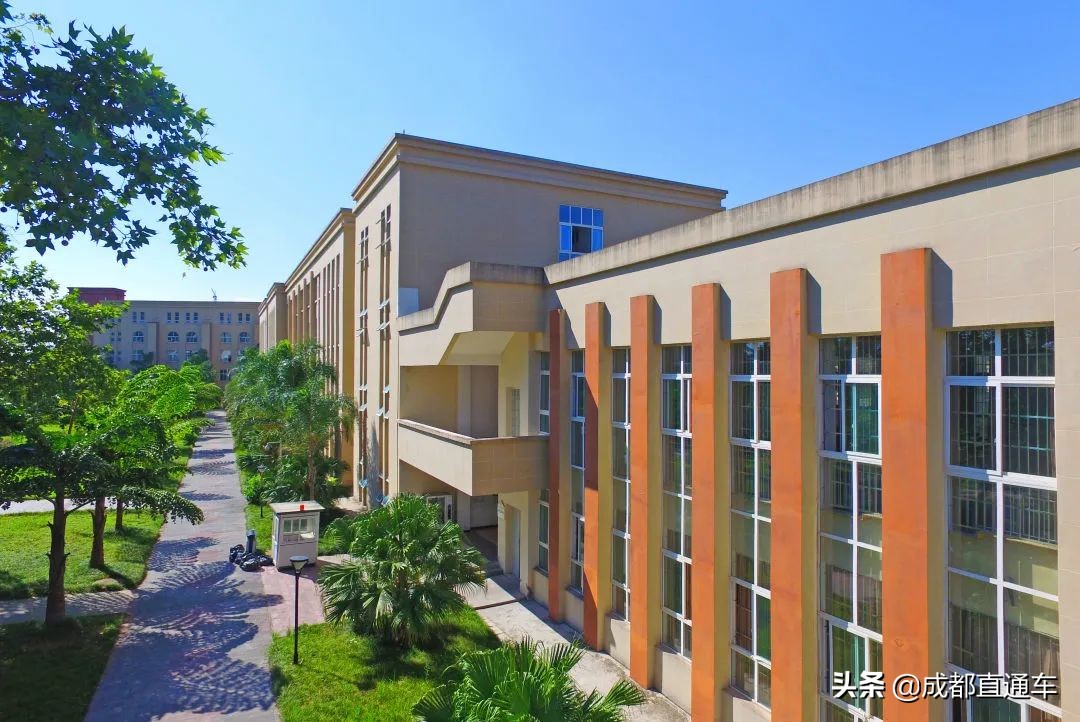 花开的季节·一起爱上文理