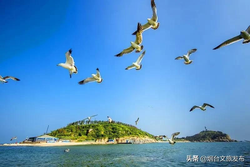 十一假期玩转长岛(国庆长岛的旅游攻略)(图25) 十一假期玩转长岛,请收下这份旅游攻略!