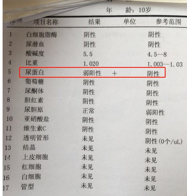 慢性肾脏病患者尿白蛋白肌酐比值升高的原因及临床意义