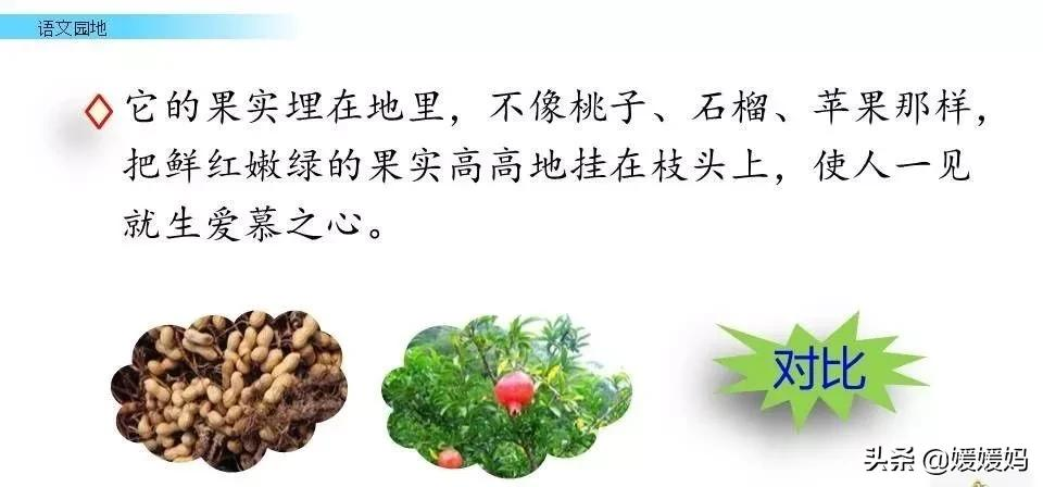 部编版语文五年级上册教材课后习题参考答案