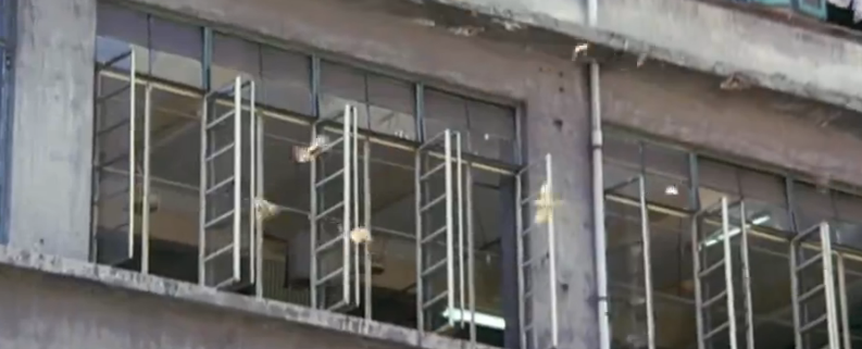 在这部1988年的老电影中，袁洁莹演女学生，林正英演警察