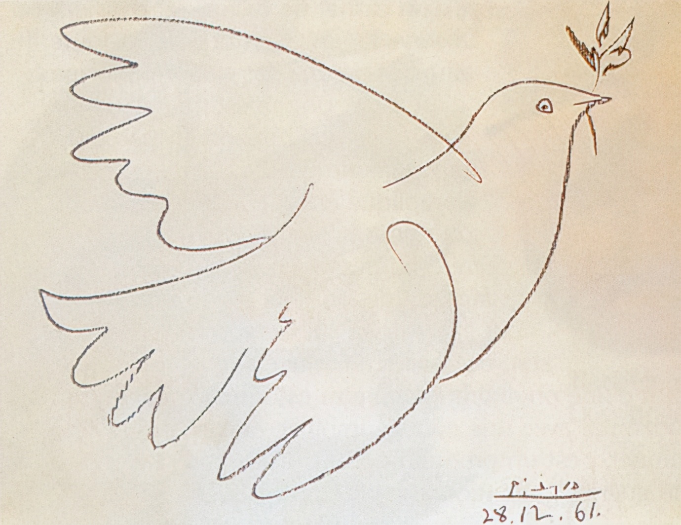 毕加索的和平鸽介绍图片