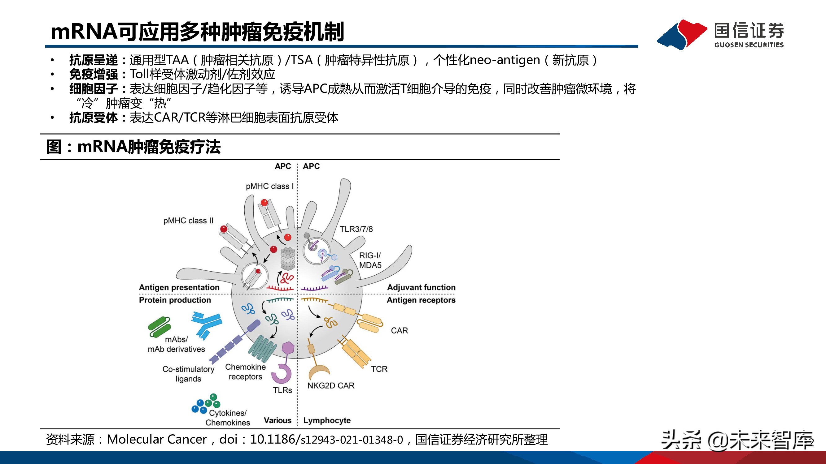医药mRNA行业深度报告：mRNA技术大有可为