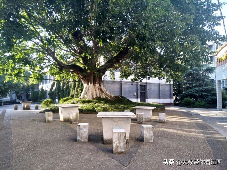 为逝去的记忆——重庆市合川师范学校掠影